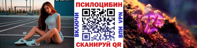 Галлюциногенные грибы Magic Shrooms  Чердынь 